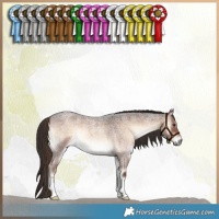Horse Color:Liver Red Onyx Roan 