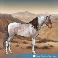 Horse Color:Liver Red Roan Tobiano 