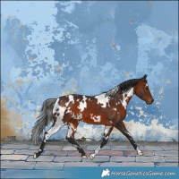 Horse Color:White Spotted Brown 