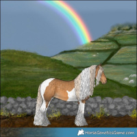 Horse Color:Chocolate Palomino Tobiano 