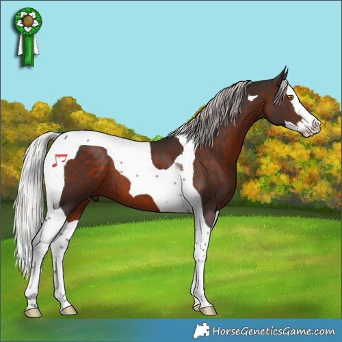 Horse Color:Silver Brown Splash Tobiano 