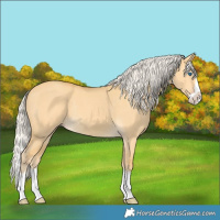 Horse Color:Silver Amber Cream Champagne Dun Splash Rabicano