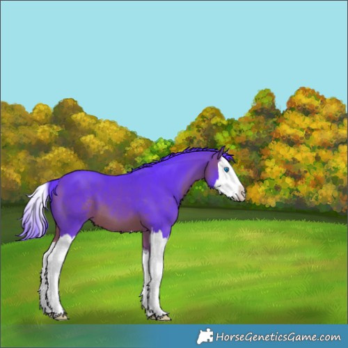 Horse Color:Watercolor Bay Splash 
