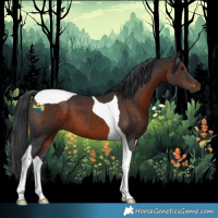 Horse Color:Brown Tobiano 