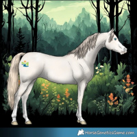 Horse Color:Perlino Dun Appaloosa