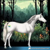 Horse Color:Perlino Dun Varnish 