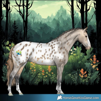Horse Color:Buckskin Dun Appaloosa 