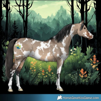 Horse Color:White Spotted Bay Dun
