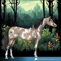 Horse Color:White Spotted Bay Dun