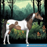 Horse Color:Bay Dun Tobiano 