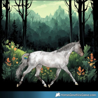 Horse Color:White Spotted Silver Brown Roan Appaloosa
