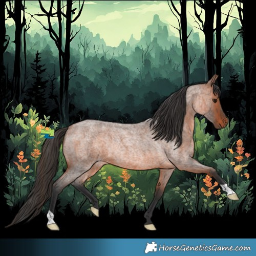 Horse Color:Bay Roan Rabicano 