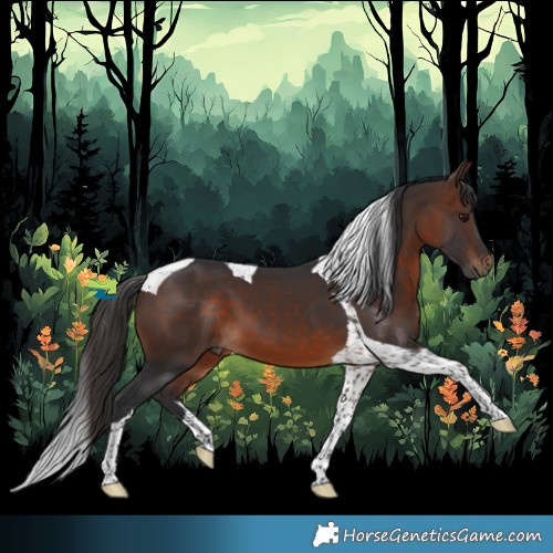 Horse Color:Brown Tobiano 