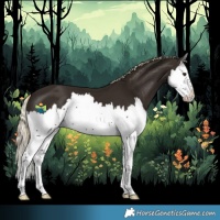 Horse Color:Liver Chestnut Splash 