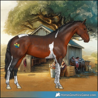 Horse Color:Bay Tobiano 