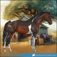 Horse Color:Bay Tobiano