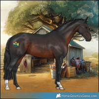 Horse Color:Brown 