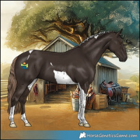 Horse Color:Liver Chestnut Tobiano 