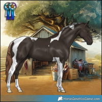 Horse Color:Liver Chestnut Tobiano 