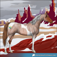 Horse Color:Red Roan Tobiano 