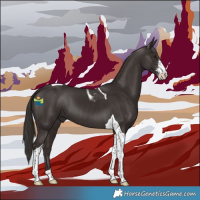 Horse Color:Liver Chestnut Sabino Tobiano 