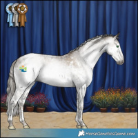 Horse Color:Gray White Spotted Smoky Black Snowdrop Splash Tobiano 