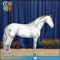 Horse Color:Gray White Spotted Smoky Black Snowdrop Splash Tobiano 