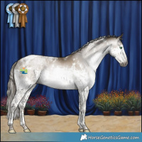 Horse Color:Gray White Spotted Smoky Black Pearl Splash Tobiano