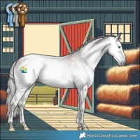 Horse Color:Gray White Spotted Smoky Black Snowdrop Splash Tobiano 