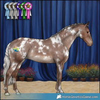 Horse Color:White Spotted Silver Black Appaloosa Rabicano 