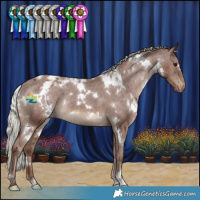 Horse Color:White Spotted Silver Black Appaloosa Rabicano 