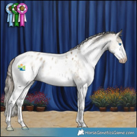 Horse Color:Gray White Spotted Smoky Grullo Pearl Splash Appaloosa 