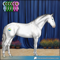 Horse Color:Gray White Spotted Smoky Grullo Pearl Splash Appaloosa 