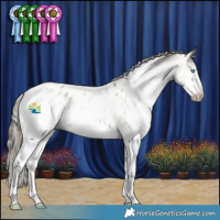 Horse Color:Gray White Spotted Smoky Grullo Pearl Splash Appaloosa 