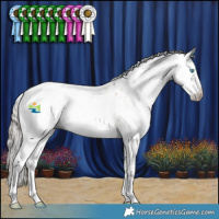 Horse Color:Gray White Spotted Smoky Grullo Pearl Splash Appaloosa 