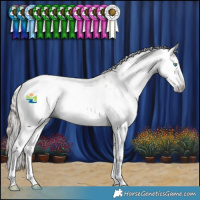 Horse Color:Gray White Spotted Smoky Grullo Pearl Splash Blanket 