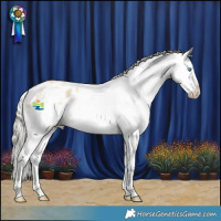 Horse Color:White Spotted Silver Buckskin Snowdrop Dun Appaloosa 