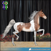 Horse Color:Silver Brown Tobiano Appaloosa