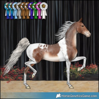 Horse Color:Silver Brown Tobiano Varnish 