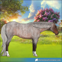 Horse Color:Silver Brown Roan 