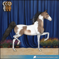 Horse Color:Brown Dun Sabino Tobiano 