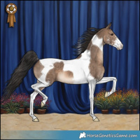 Horse Color:Brown Dun Sabino Tobiano 