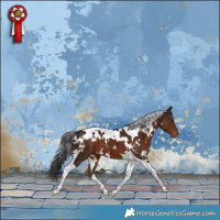 Horse Color:White Spotted Liver Chestnut Tobiano 