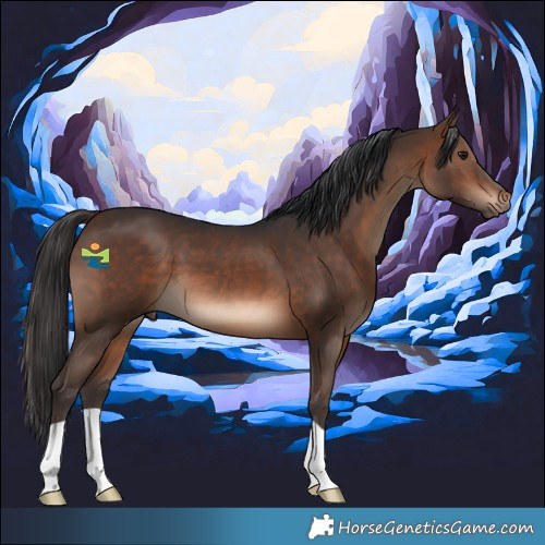 Horse Color:Brown 