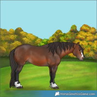 Horse Color:Brown 
