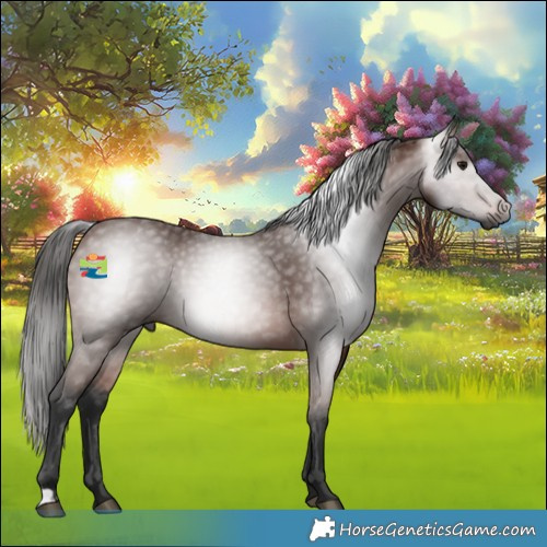 Horse Color:Gray Bay 