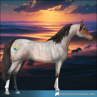 Horse Color:Bay Roan 