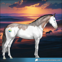 Horse Color:Bay Roan Splash 
