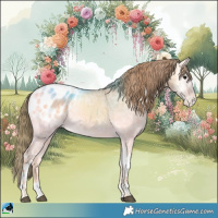Horse Color:Buckskin Ice Onyx Tobiano Blanket Rabicano