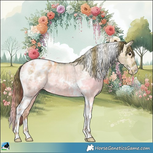 Horse Color:Plaid  Buckskin Ice Dun Tobiano Appaloosa Rabicano 